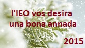 Voeux de l’IEO pour 2015
